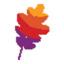 Apache Software Foundation